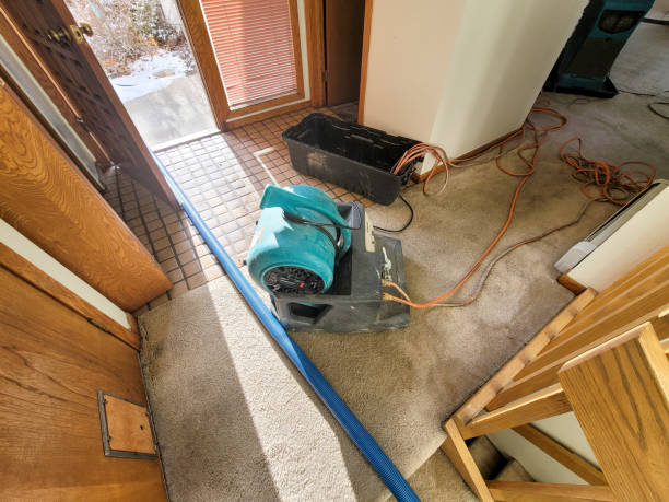 Best Basement water damage restoration  in St John, KS