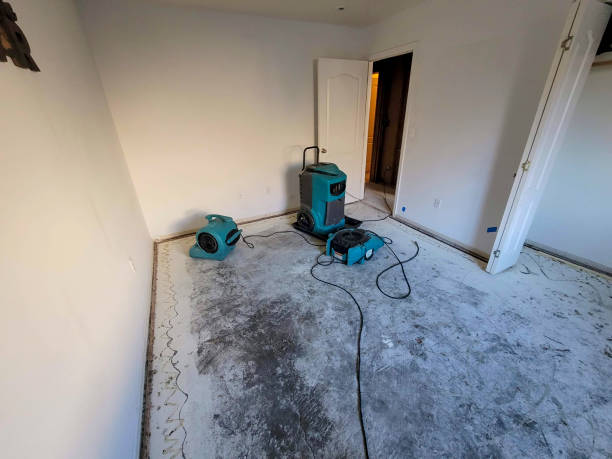 Best Water damage restoration services  in St John, KS