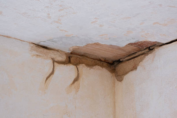 Best Water damage restoration near me  in St John, KS