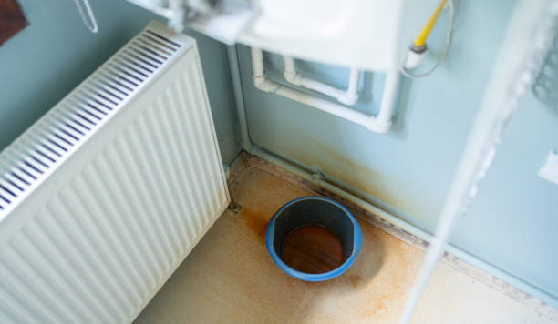 Best Ceiling water damage repair  in St John, KS